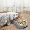 Triple Bowl for Cats and Dogs with a Water Dispenser and a Stand and a PetJet Water Fountain