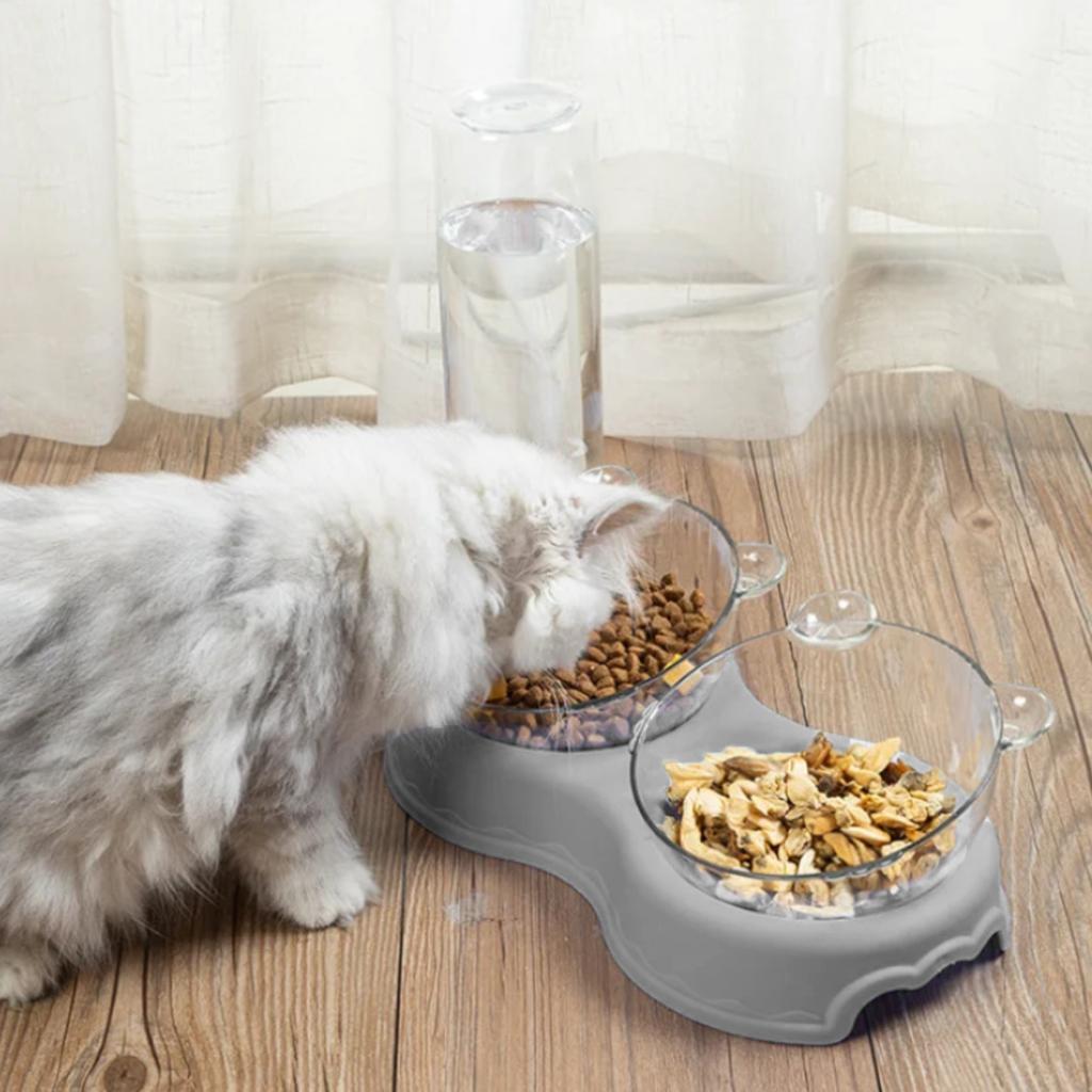 Triple Bowl for Cats and Dogs with a Water Dispenser and a Stand and a PetJet Water Fountain