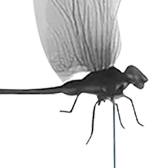 Zahradní zápichy vážky 3D Velké zápichy vážky Vložka do květináče Dekorace vážky s tyčkou pro vnitřní venkovní truhlík na okno balkon