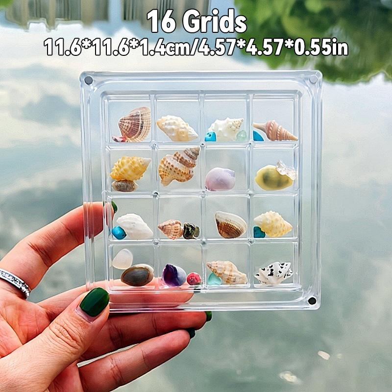 2X Acrylic Square Shell Storage Box Transparent Sea Shell Display Cabinet Magnetic Mini Beach Stone Gemstone Beads Storage Frame