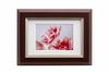 Kenko Grace Mellow Miu Picture Resin Holds Trading Cards and Photo Stand Made In Frame, Large/Half Size, Brown, UV-Resistant Acrylic, Frame, Cards,
