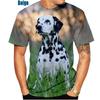 Beautiful Dalmatians 3D Printed T-Shirt Dalmatians Fashion Men Women's Personality Hip Hop Casual T Shirt Male Streetwear Tops
