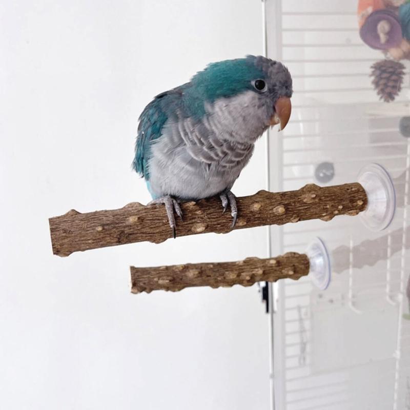 2PCS Bird Perch Stand With Strong Suction Cup For Parrots And Small Bird Indoor Training Exercise Enrichment Accessory