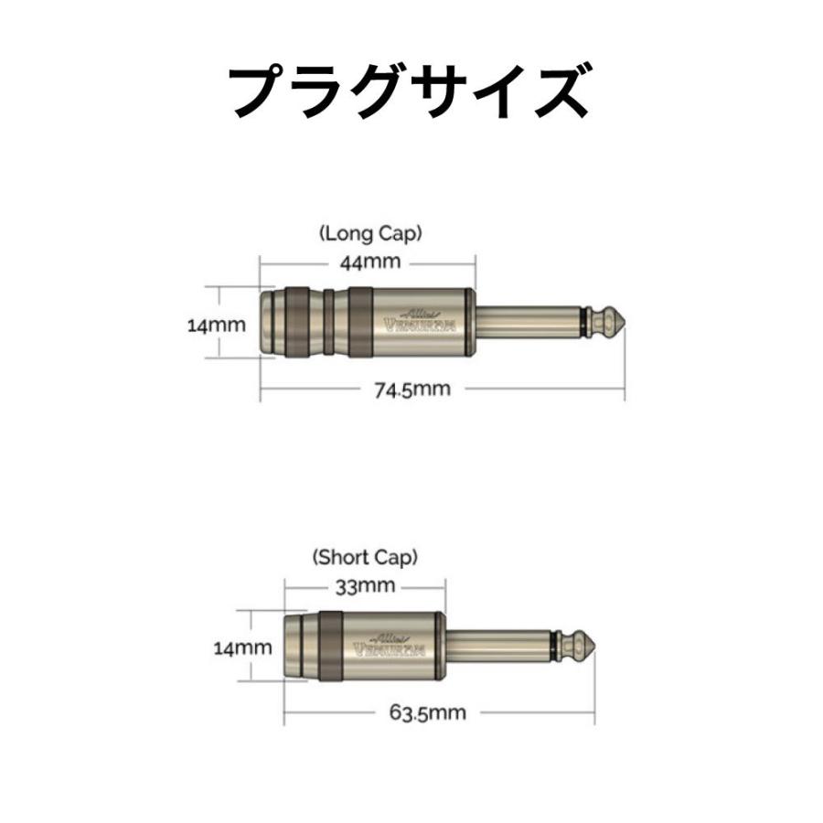 Allies VEMURAM PPP-SL LST/LST 10ft Guitar Cable