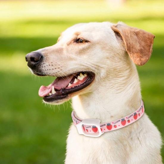 Yousheng Haustierabwehrhalsband Effektiv Verstellbar Wasserdicht Bedruckt Anti-Floh-Zeckenhalsband für Kleine Mittlere Große Hunde Katzen Welpen Haustierbedarf
