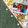 10 Pack Natural Stone Tablecloth Weights Weatherproof Tablecloth Weights with Clip for Garden Picnic Party Kitchen Restaurant