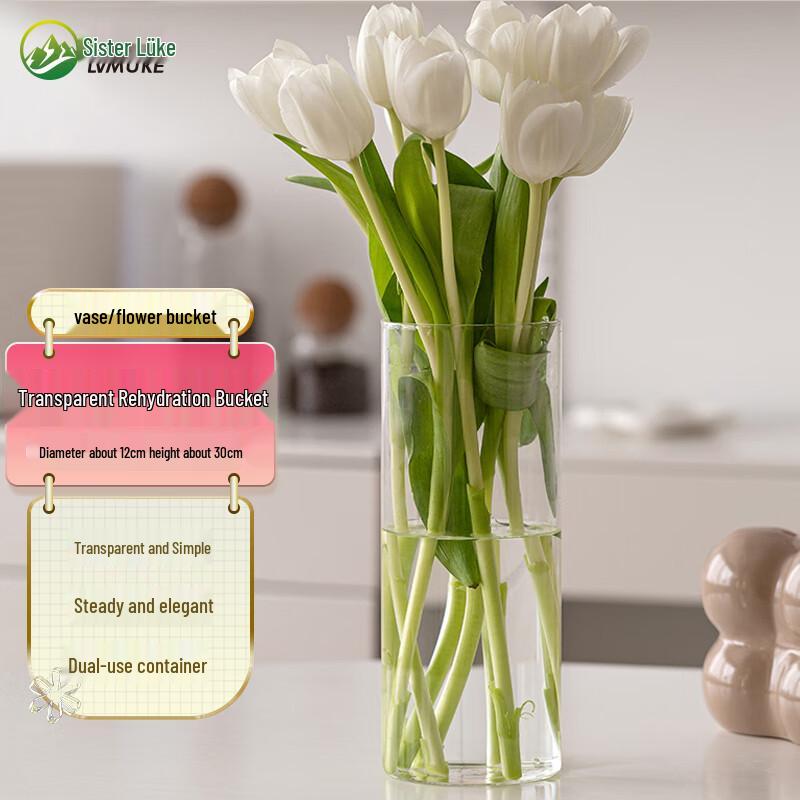 Roomco Anti-Fall Transparent Acrylic Flower Vase