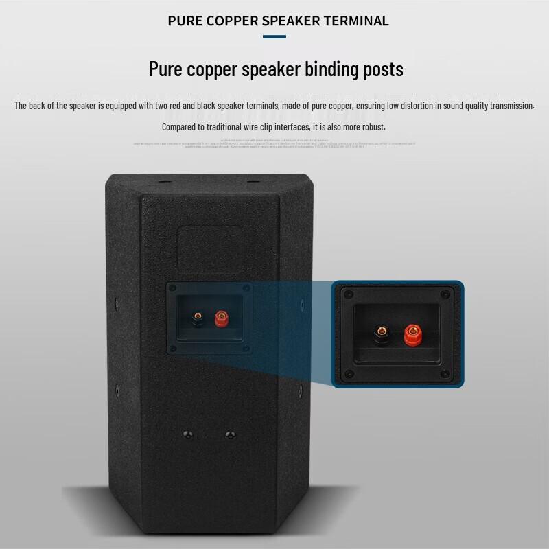 KAXISAIER Professional Passive Full-Range Speaker CN Plug (adapter Included)