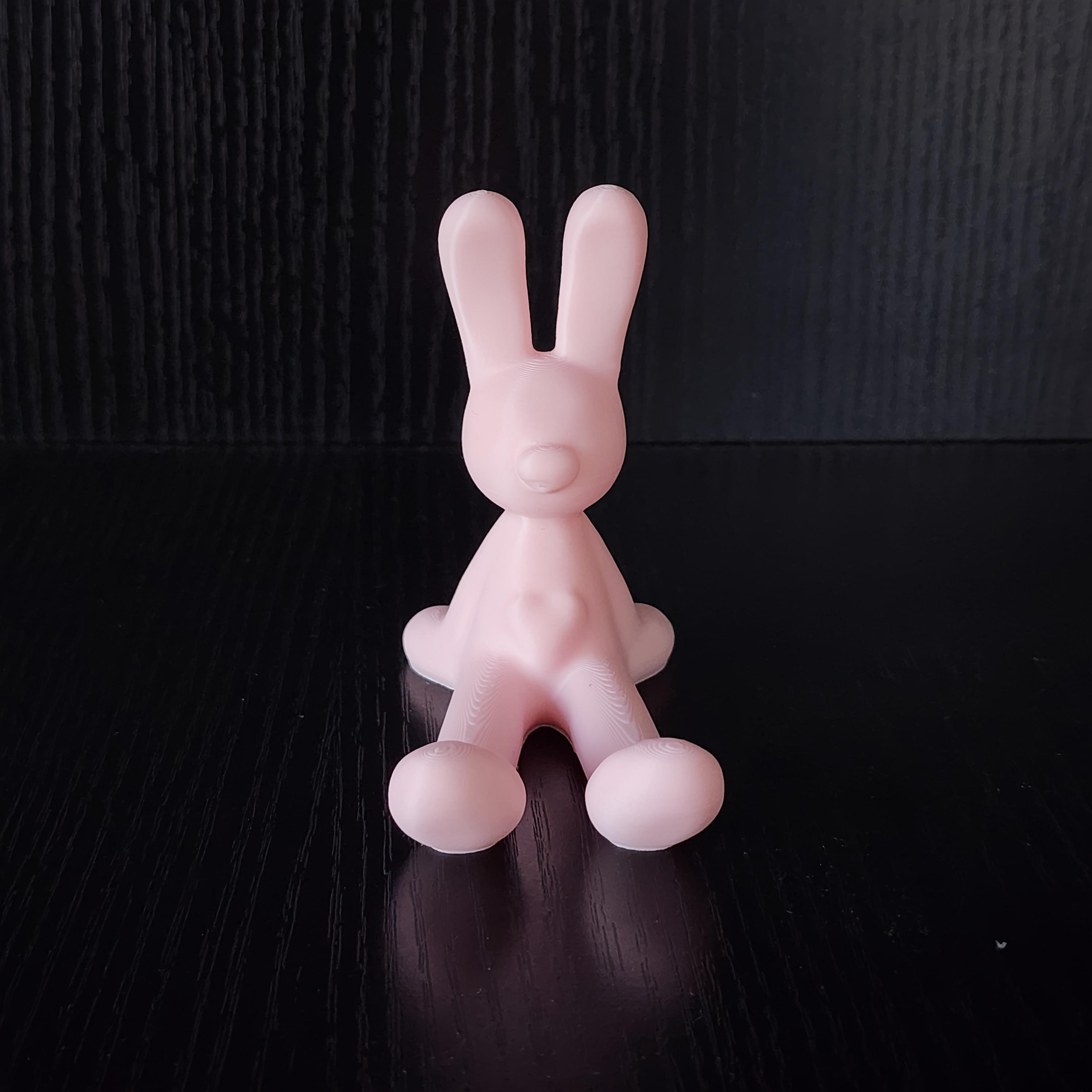 

Cute Rabbit Phone Holder 3D Printed Ornament, Soft And Cute Decoration, Stable And Non-Slip Support for Mobile Phones