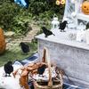 Simulation Black Crow Halloween Black Crow Props Simulation Fake Bird Ghost Festival Halloween Decoration Scary Toys