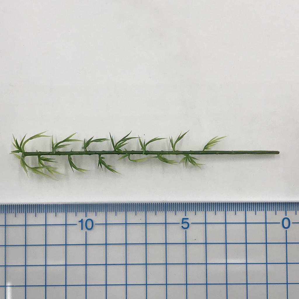 [DauStage] Green Cherry Bamboo Palm Willow Pine Forest Model N Gauge Diorama Railway Architectural Tree Miniature 14. Bamboo 12cm 20 Pieces