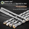 Berry Lion Hammer Drill Bit