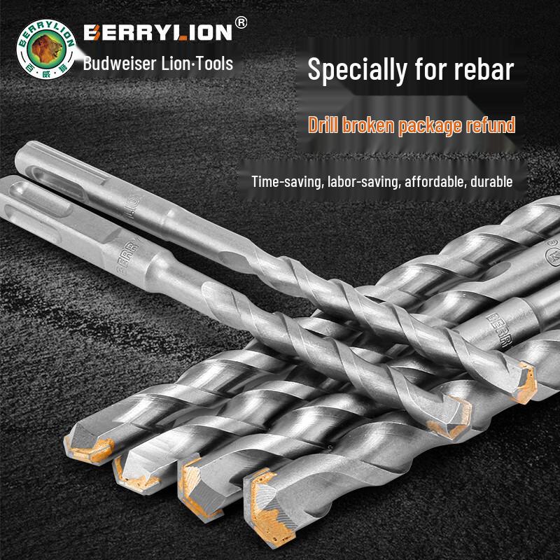 Berry Lion Hammer Drill Bit