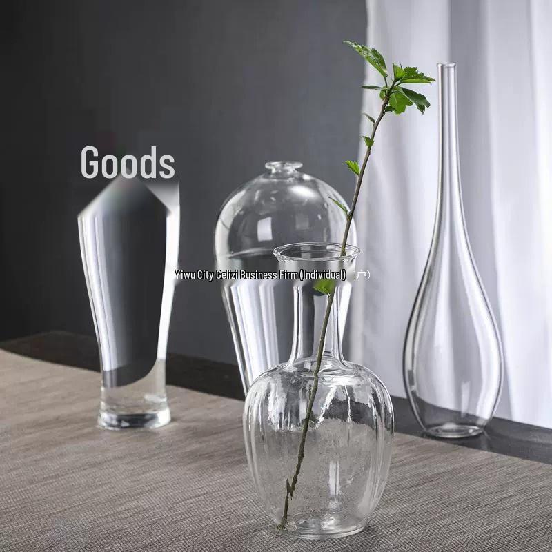 Zen Transparent Glass Vase for Hydroponic Plants and Small Mouth Flower Arrangements