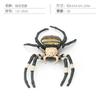 Simulation Of 16 Insects, Animal Models, Butterflies, Beetles, Spiders, Ants, Dragonflies, Cockroaches, Oxen Shields, Bugs, Static Ornaments