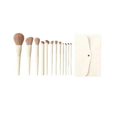 Makeup Shading & Blusher Brush 12 Piece Set