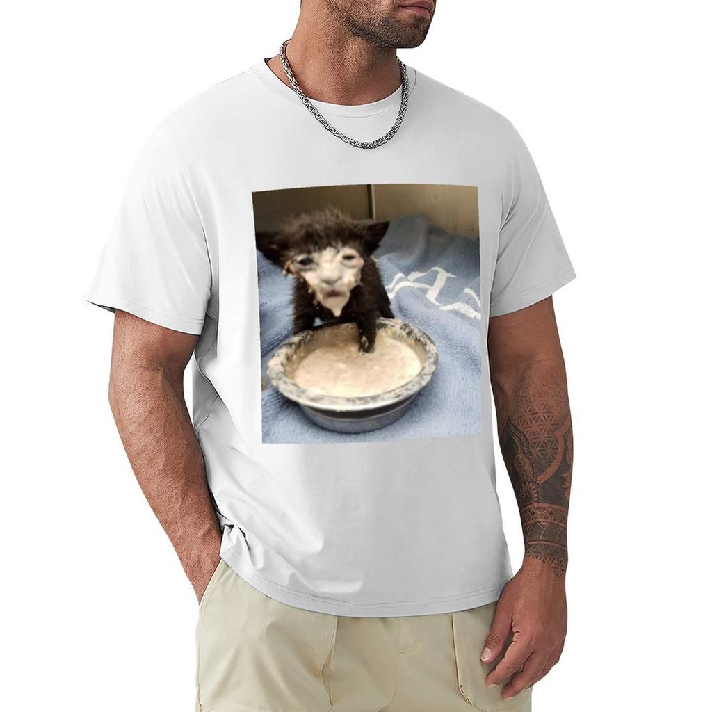 Kitten With Milk On Its Face Tshirt Daily Wear Plain Short Sleeve Shirt