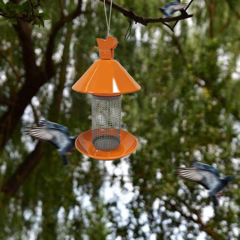 automatic wild bird feeder