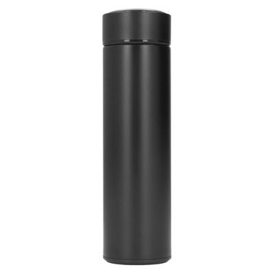 Thermal Cup Insulated Stainless Steel Water Bottle with Detachable Filter for Hiking Biking