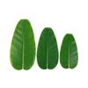 Green Artificial Banana Leaf Place Mats Large Drink Cup Coasters Green Plants  Hawaiian Luau Party