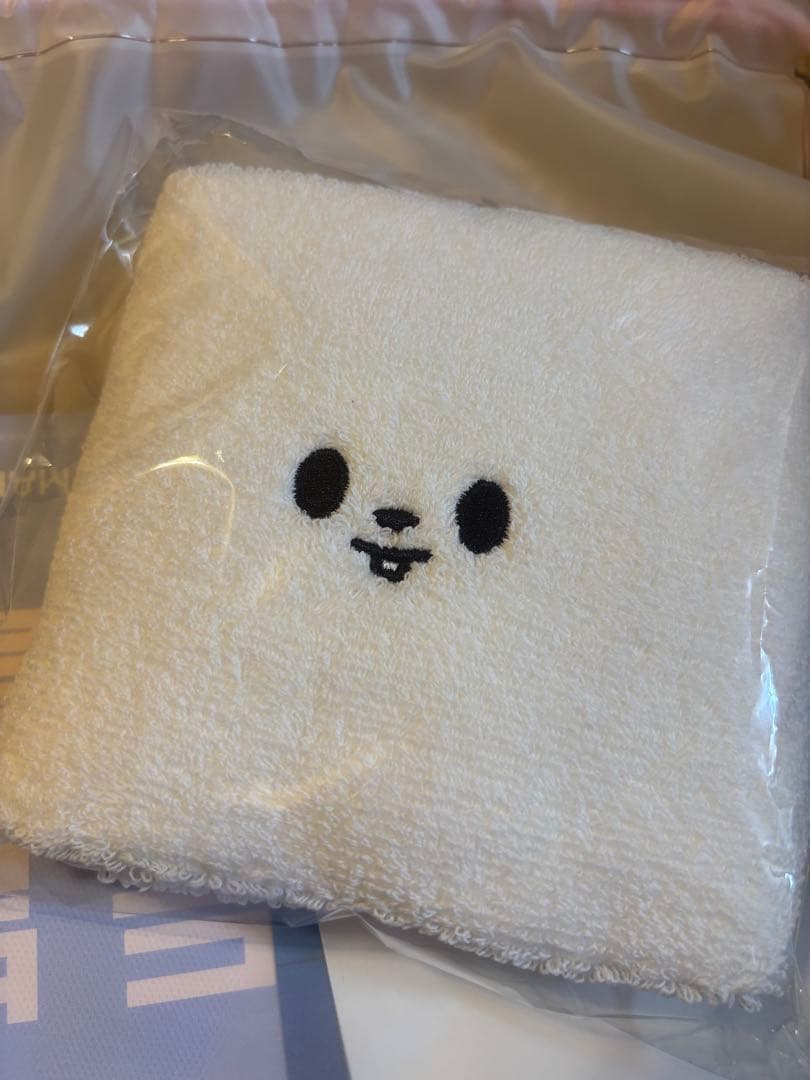 [USED] Stray Kids Lee Know fan meeting in Korea admission benefits Lee Know towel Stray Kids