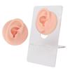 Ear Model Soft Silicone High Simulation Clear Structure Human Ear Model for Piercing Practice Light Skin Color