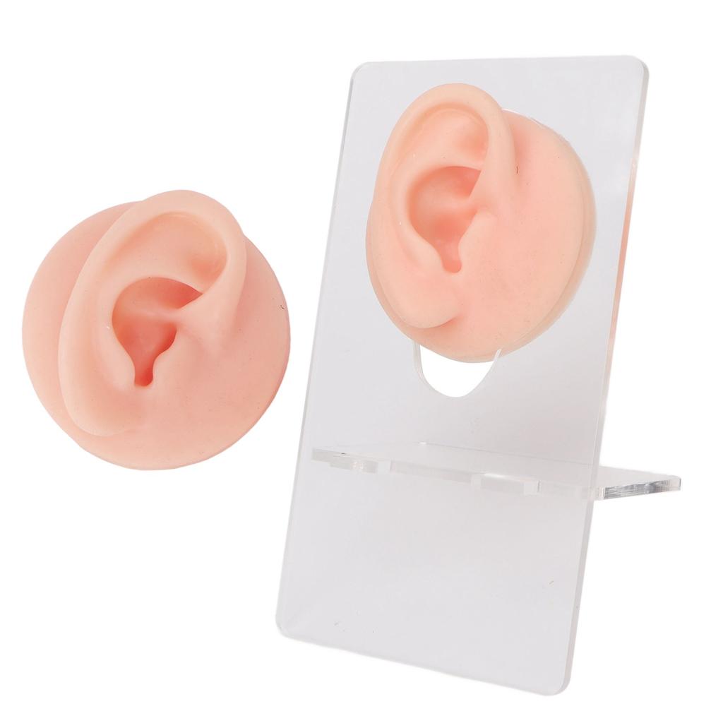Ear Model Soft Silicone High Simulation Clear Structure Human Ear Model for Piercing Practice Light Skin Color