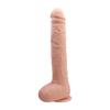 Realistic Dick Dildo with Natural Suction Cup