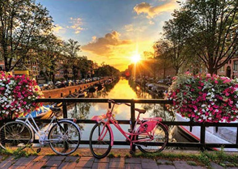 

Yanoman [Made in Japan] 500-Piece Jigsaw Puzzle: World Landscapes: Sunlit Canals and Streets (Amsterdam) (38x53cm) 05-1049. Includes a piece request