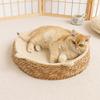 Cat Bed Sofa Cat Scratching Board 2 In 1  Wear-resistant and Scratch-resistant Cat Bed Scratcher Sofa Protector Cats Furniture
