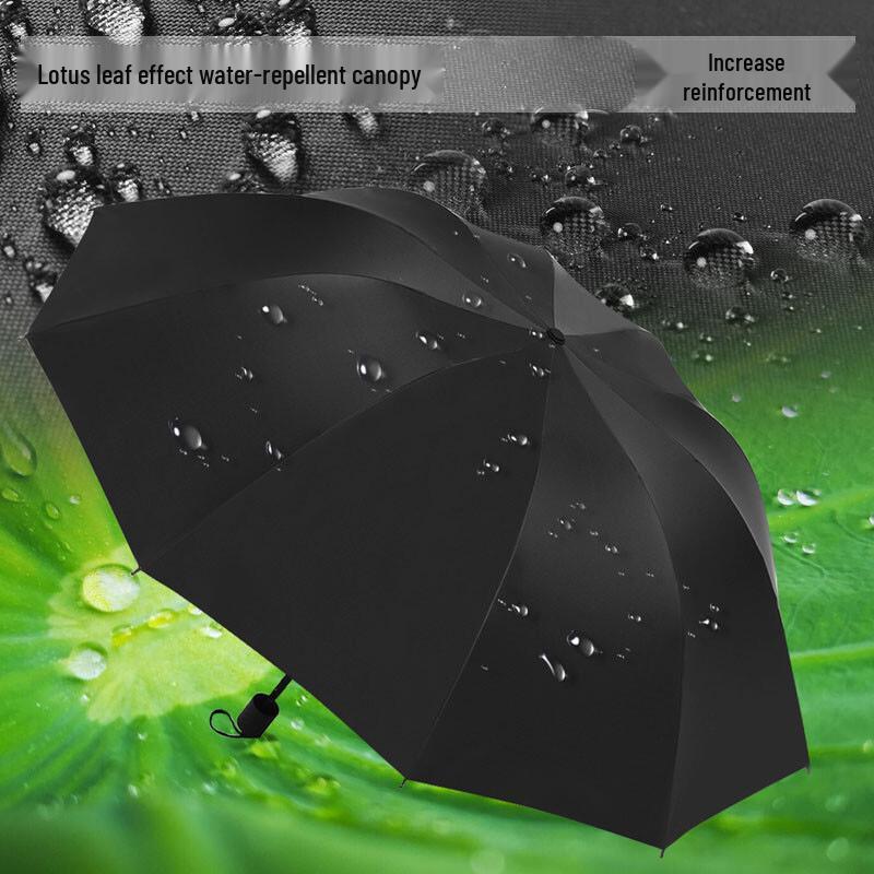 Automatic 10-Rib Dual-Purpose Business Umbrella