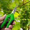 Fishing Tool Gardening Supplies Garden Pruning Shears Floral Scissors Garden Scissors Pruning Tools