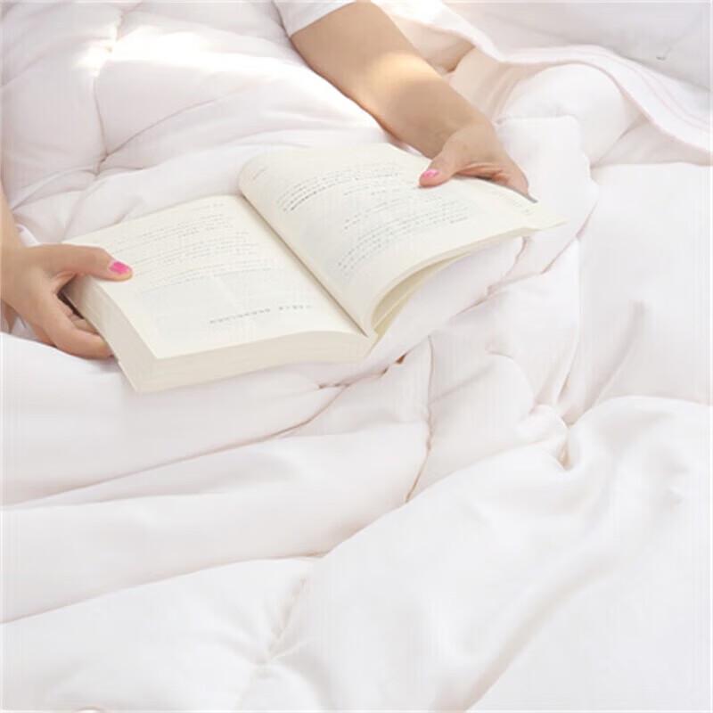 Mercury Home Textiles All-Season Antibacterial Soy Fiber Quilt