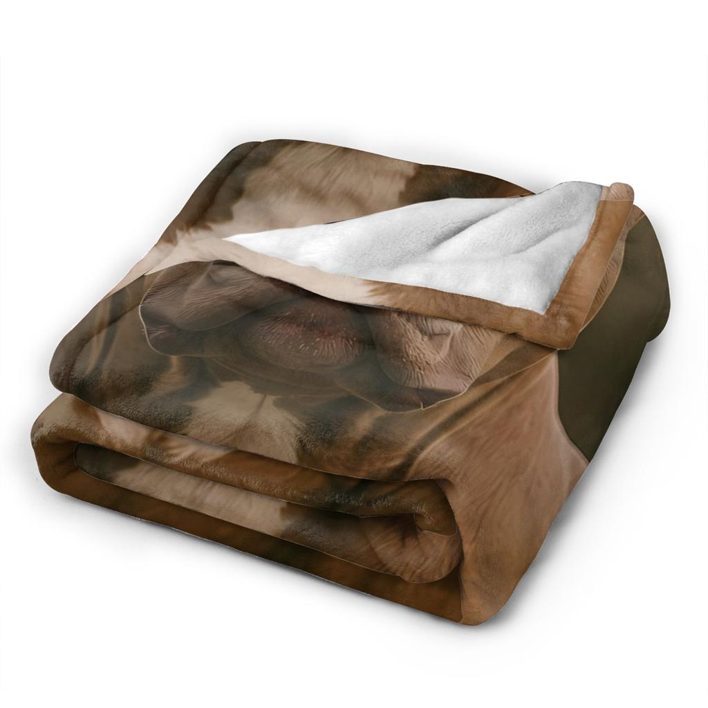 Cane Corso Warm Soft Blanket  Camping Plush Throw Blanket Aesthetic Couch Chair Flannel Bedspread Sofa Bed Cover