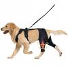 Dog Knee Brace: Double Hind Leg Support Harness - Pain Relief for ACL/Arthritis, Adjustable Breathable Design for Fast Recovery, Large Size