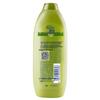 Rejoice Dual-Effect Oil Control Shampoo