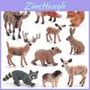 Conjunto de 10 Peças de Figuras Realistas de Animais da Floresta Incluindo Alce Guaxinim Veado-de-cauda-branca Urso-pardo Raposa-vermelha E Modelos de Coelho Para Decoração de Casa