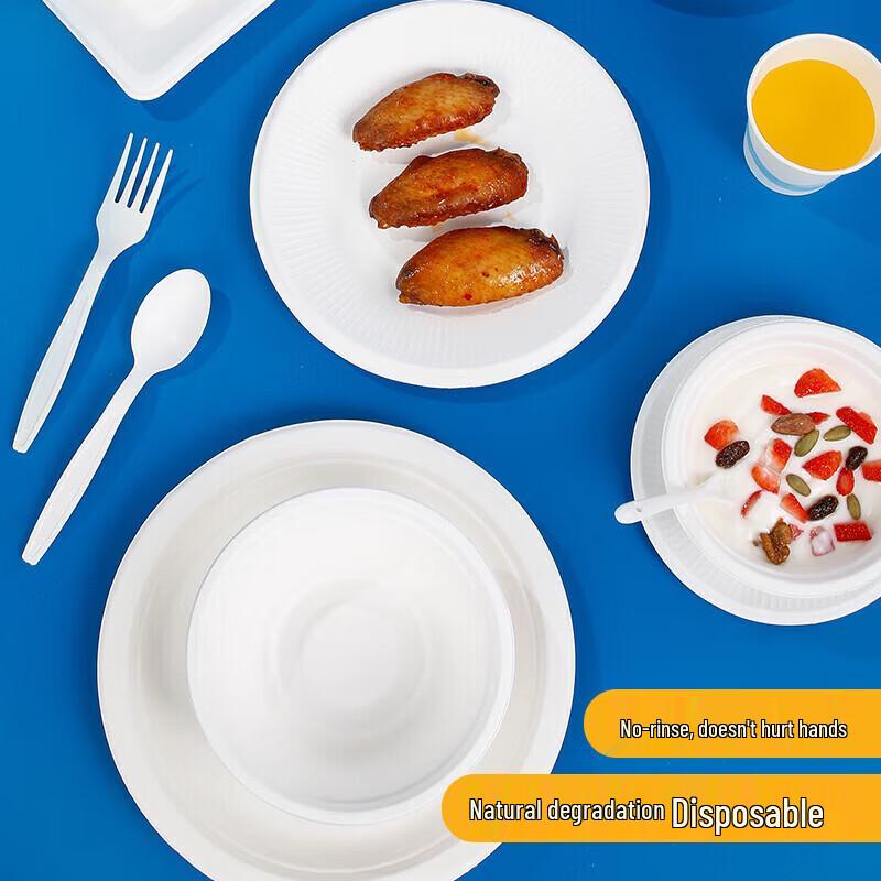 Biodegradable Disposable Round Paper Plates