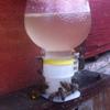 10 Pcs Bee Feeder Drinking Fountain Queen Bee Water Bowl Equipment Easy Installation Easy To Operate Beekeeping Tools