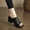High-top Shoes, One-piece Style, New Platform Slippers, Casual Sandals for Women