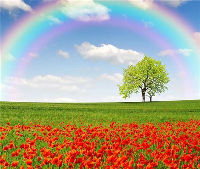 RUOPOTY Digital Natural Scenery Hand-Painted Art Gift Diy Digital Painting Set Room Decoration