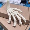 Flexible Joint Skeleton Hand 3D Printed Ghost Halloween Props Hand Bone Ornaments  Educational Use