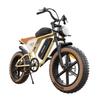 JANSNO X70 Elektrofahrrad für Erwachsene 750W Motor 48V 14Ah+20Ah Doppelbatterien 20 Zoll Fettreifen Elektrofahrrad