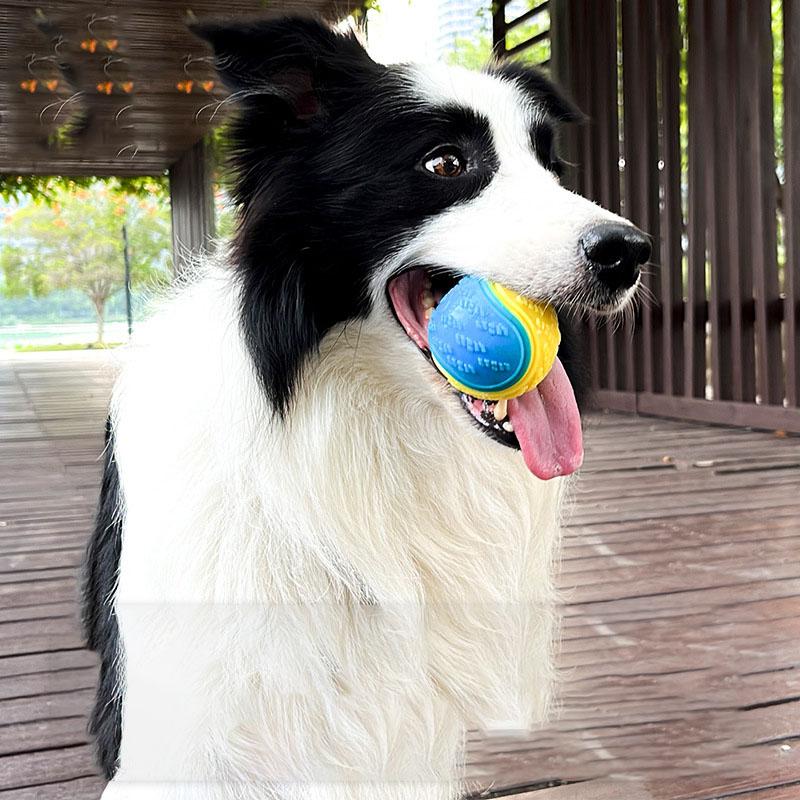 1pc 6.5cm Squeaky Balls Toys Dogs Interactive Toys TPR Dog Chew Toy for Dog Pet Teeth Cleaning Bite Resistance Pet Supplies
