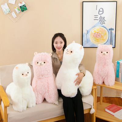 Bebek ve Peluş Oyuncaklar – Doldurulmuş ve Peluş oyuncak hayvanlar