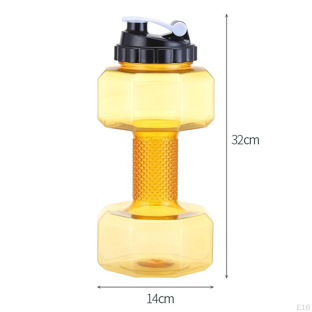 Companion for Fitness Enthusiasts