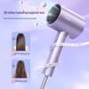 Negative Ion Hair Dryer CN Plug (adapter Included)