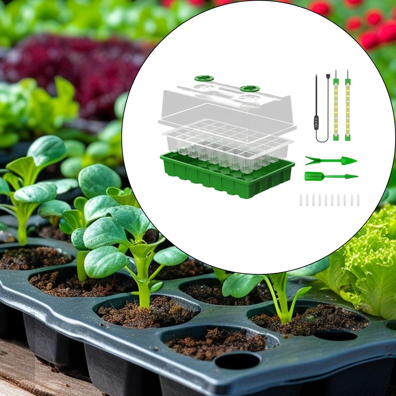 

Поддон для семян с лампой для выращивания растений в помещении, комплект для проращивания Full Spectrum, комплект для растений, 40 шт. White blue light