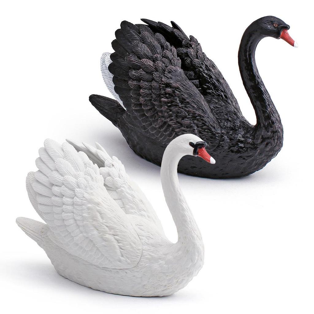 Wild Animal Swan Model: Children's Cognitive Farm Decor - White & Black Swan Ornament