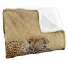 Wild Wings African Cats 2 Silky Supersoft Blanket